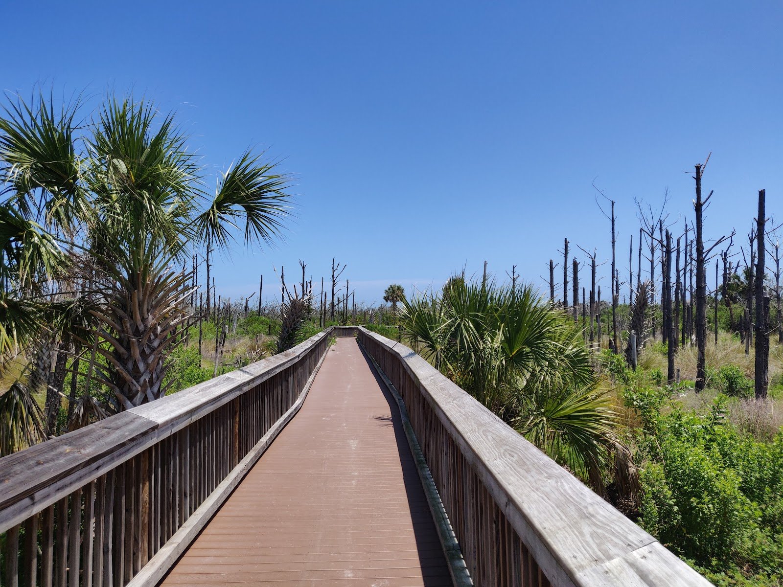 Hammock Community Center